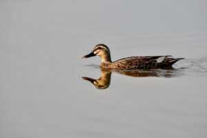 tiny bumps on face after exfoliating