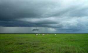 ai graphic design gfxrobotection