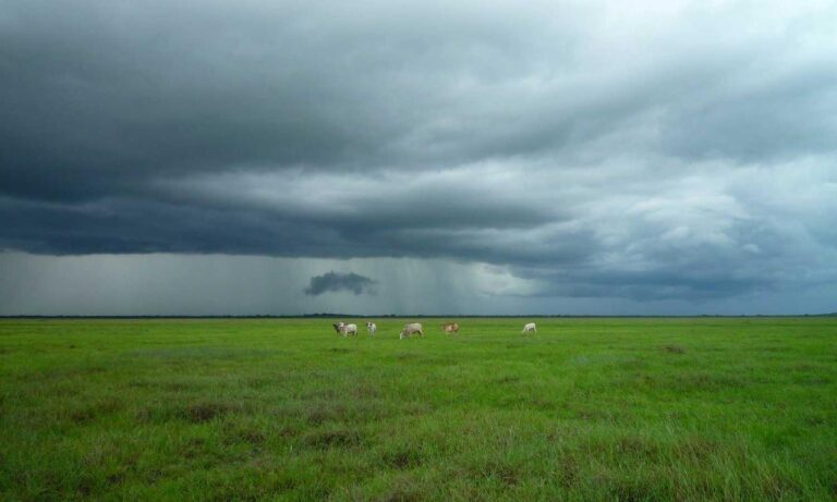 ai graphic design gfxrobotection