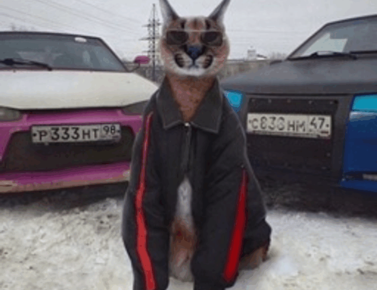 best code advice buzzardcoding