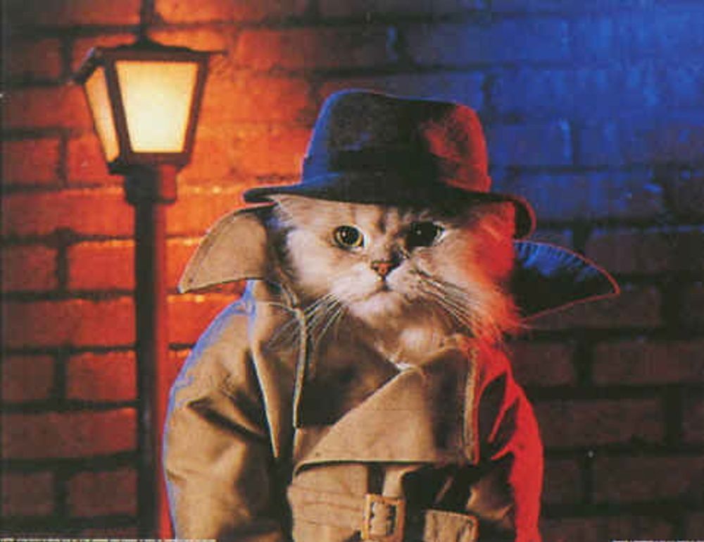 buzzardcoding code advice from feedbuzzard