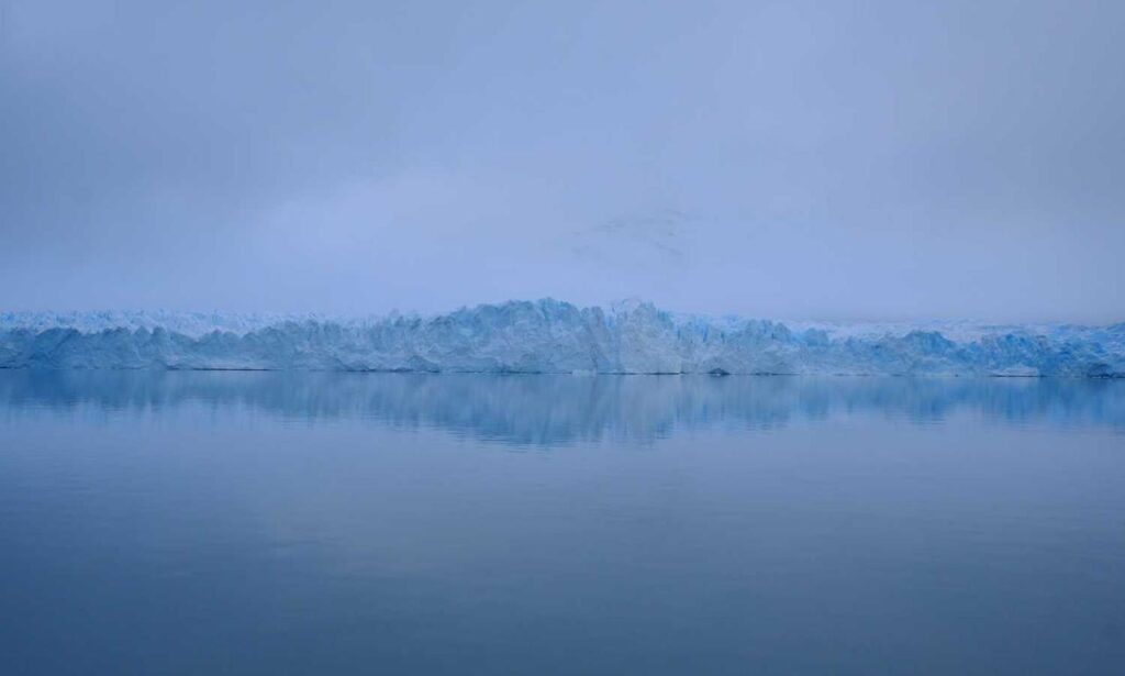 code advice buzzardcoding