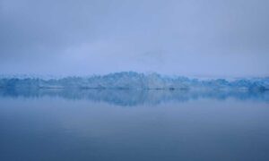 code advice buzzardcoding