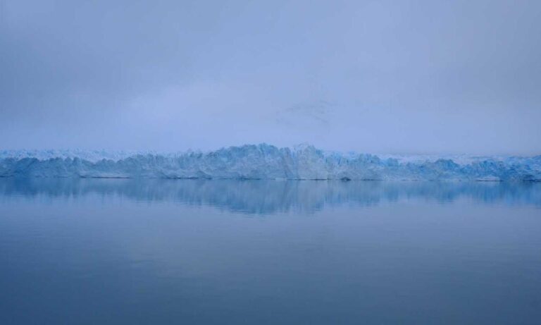 code advice buzzardcoding