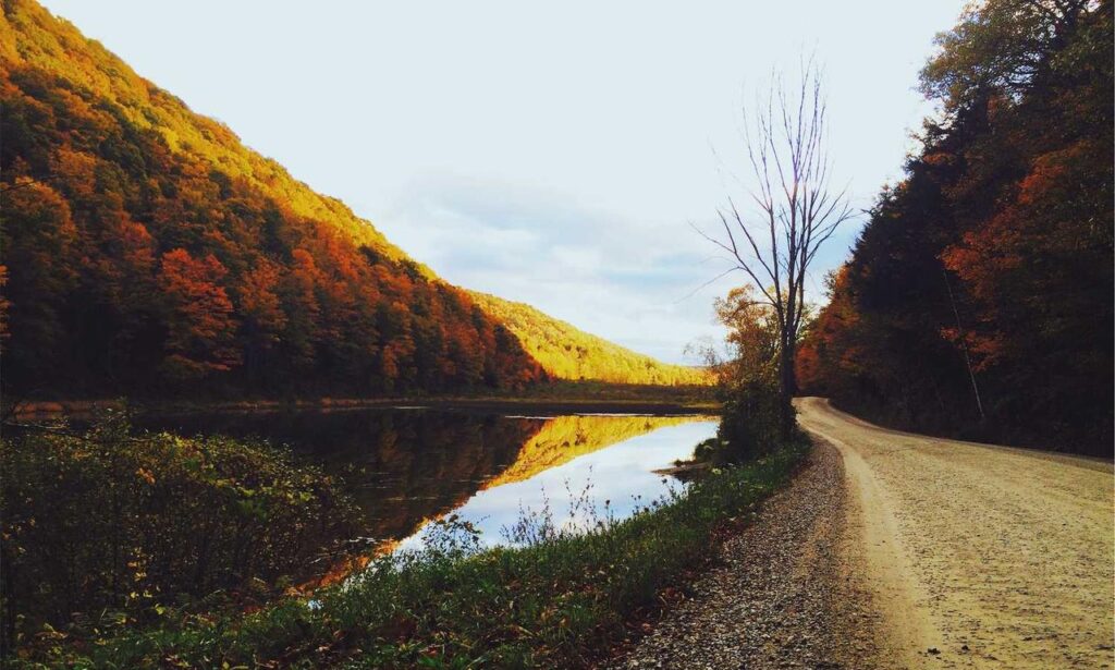 code tips and tricks buzzardcoding