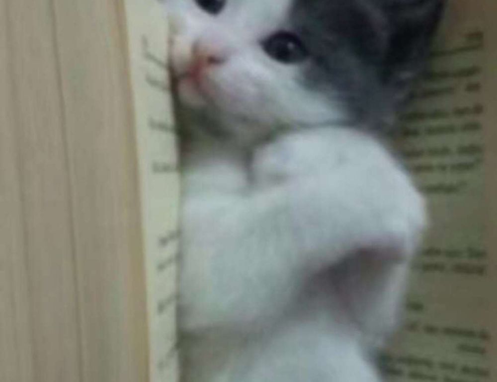 code tips and tricks buzzardcoding