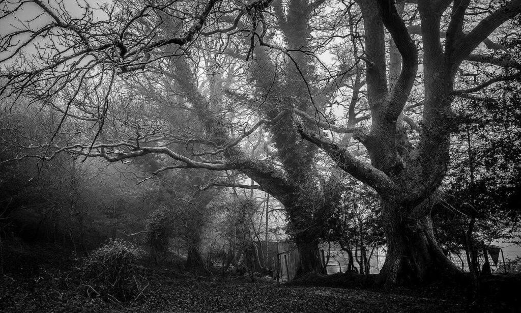 digital gfxrobotection