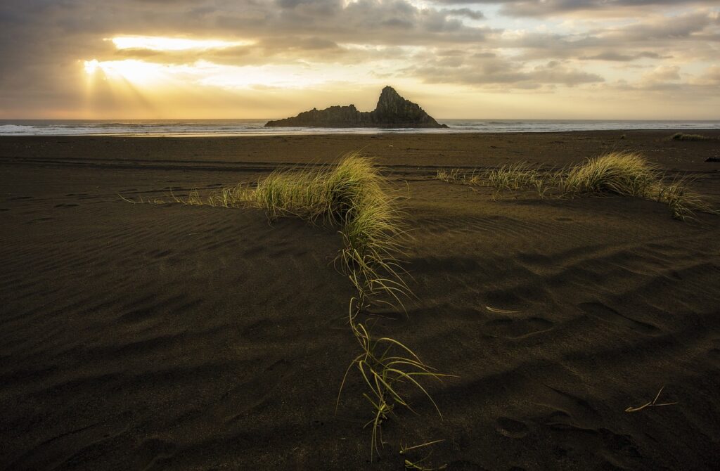 gfxrobotection ai software by gfxmaker