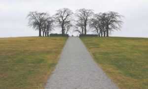 graphic design gfxrobotection