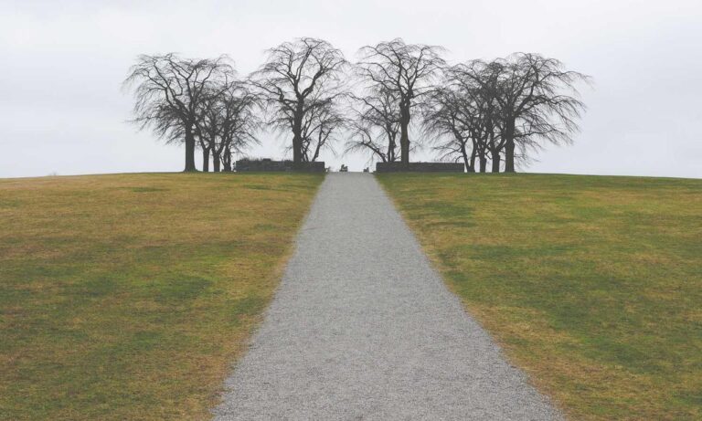 graphic design gfxrobotection