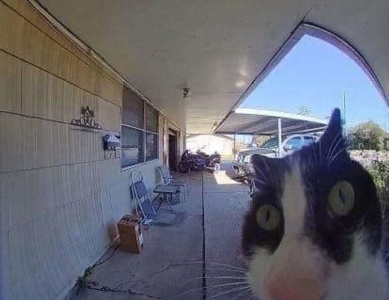 graphic design ideas generator gfxdigitational