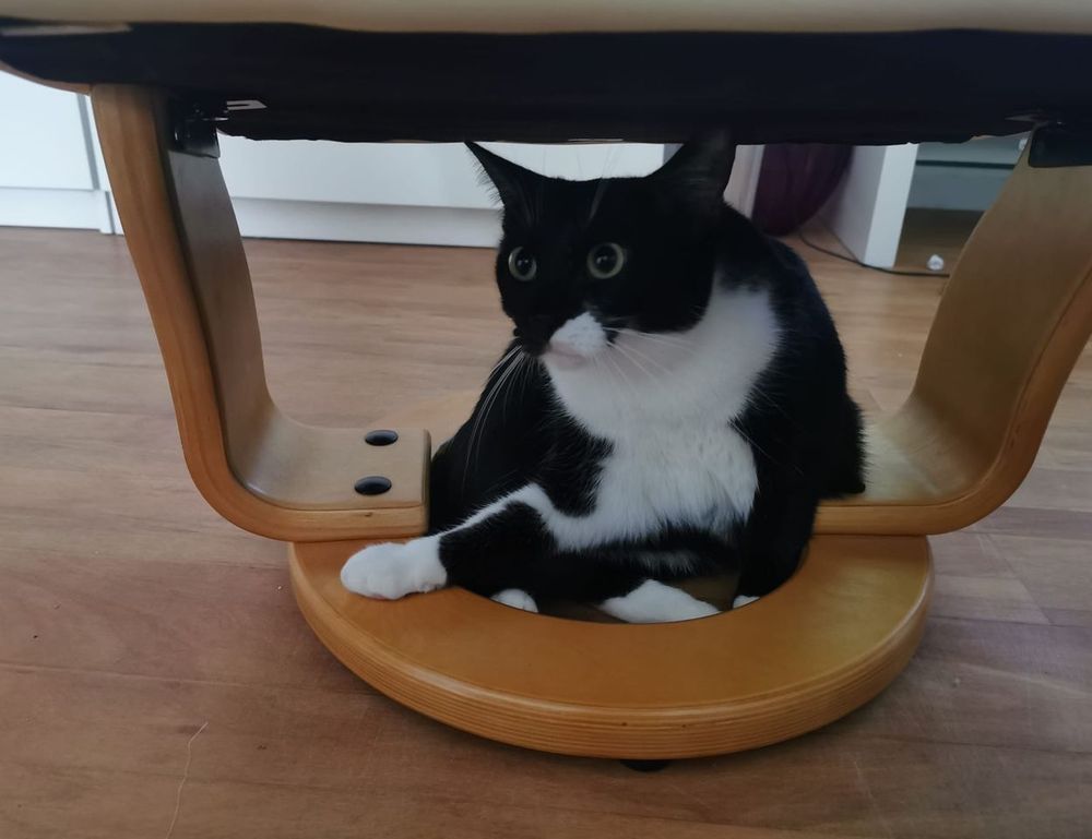 how to learn graphic design for free gfxdigitational