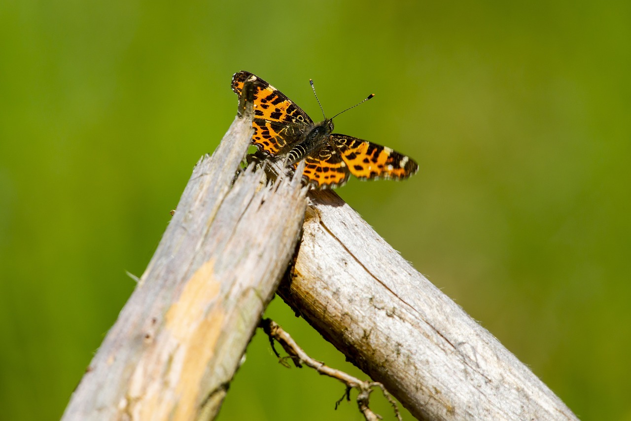 silent communication