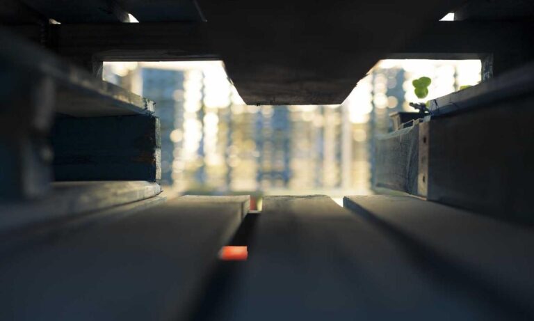 software 8tshare6a python