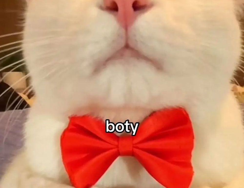 technology news gfxdigitational