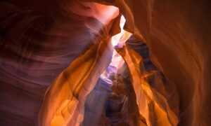 which are the top coding updates buzzardcoding