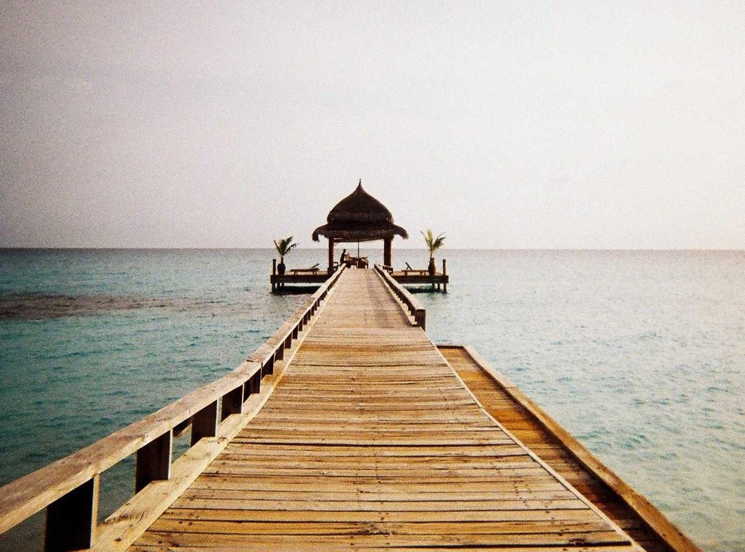 The Next Generation: The 'Sons' Carrying the Torch