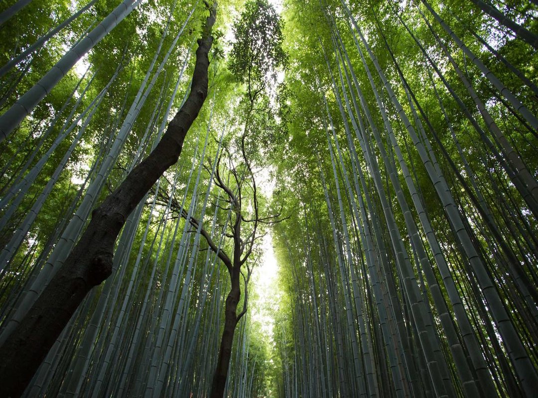 Fact vs. Fiction: Notable Past Relationships and Rumors