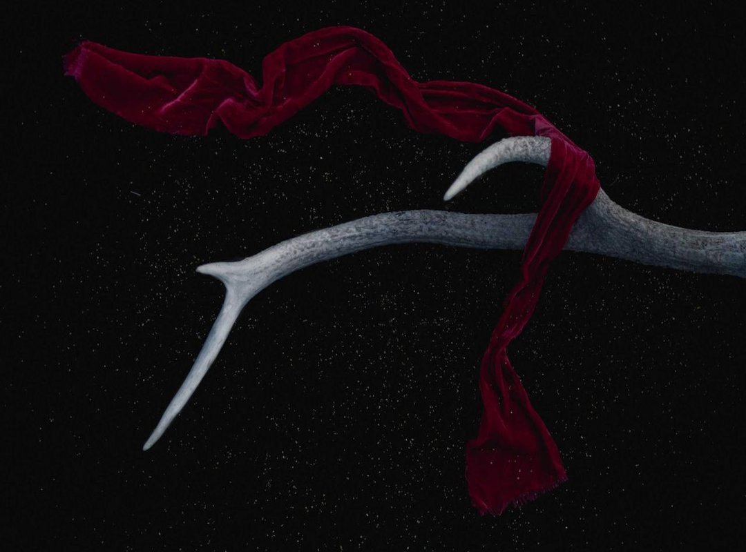 A Final Honor: The OBE Investiture