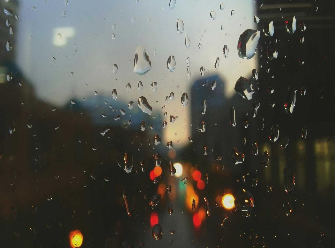 Decoding the Letter: Carly's Final Message