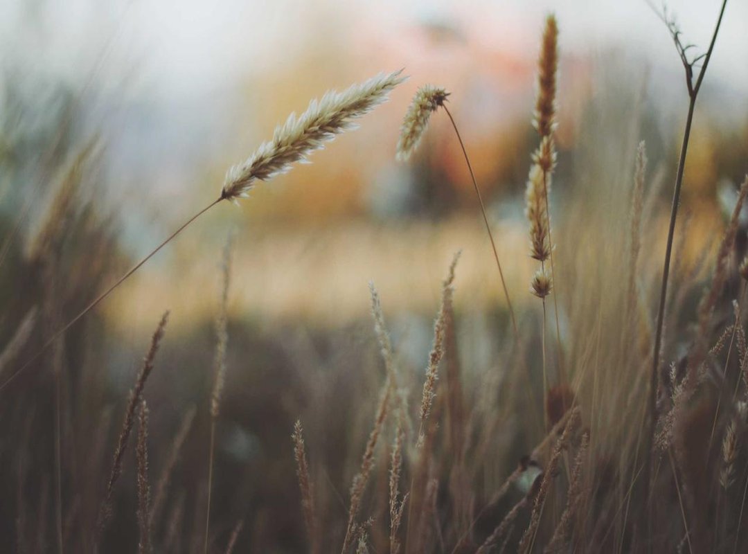 A New Beginning: Photos After Prison Release