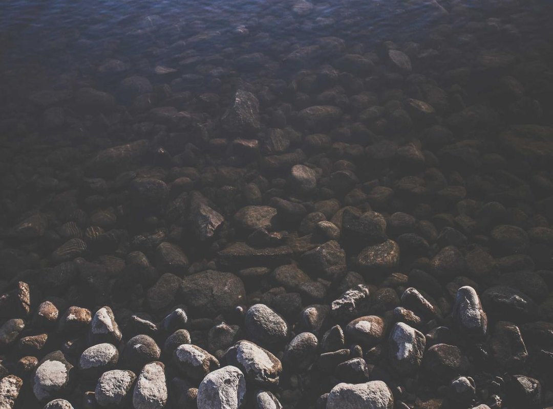 Beyond the Trend: Its Place in Dembow Music Culture