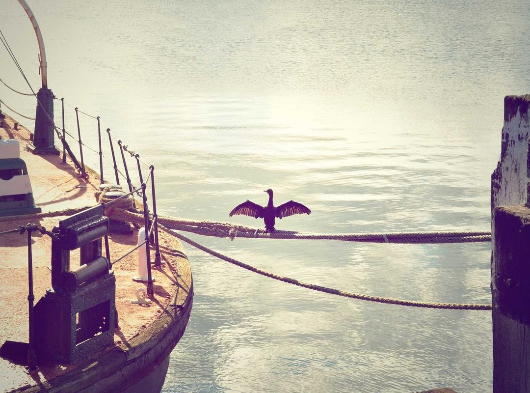 How to Interpret the Output: A Practical Walkthrough