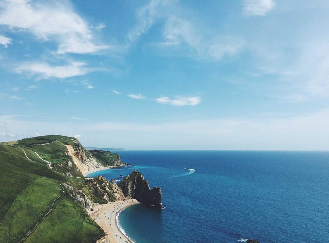 Beyond Birds: Obvious Sex Differences in Mammals and Fish