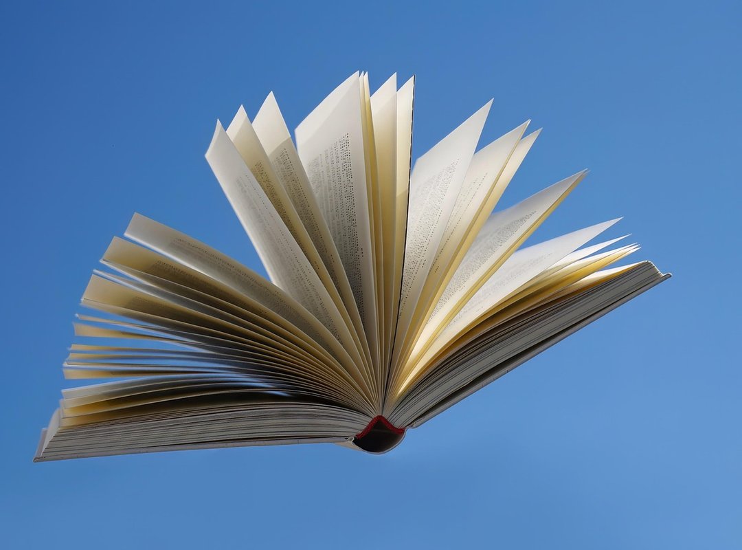 How and Where to Read the Full 'Mi Frío Ex Marido' Novel