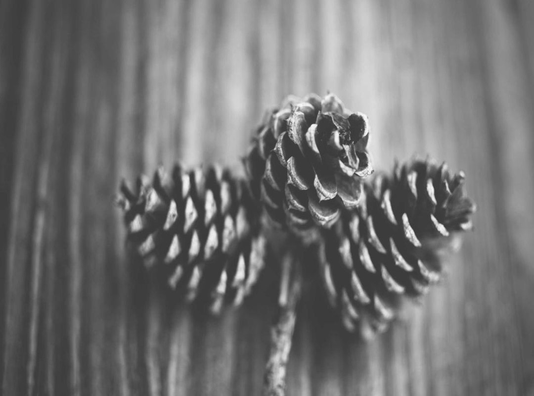 Making It Personal: Names from Hobbies, Heritage, and Heart