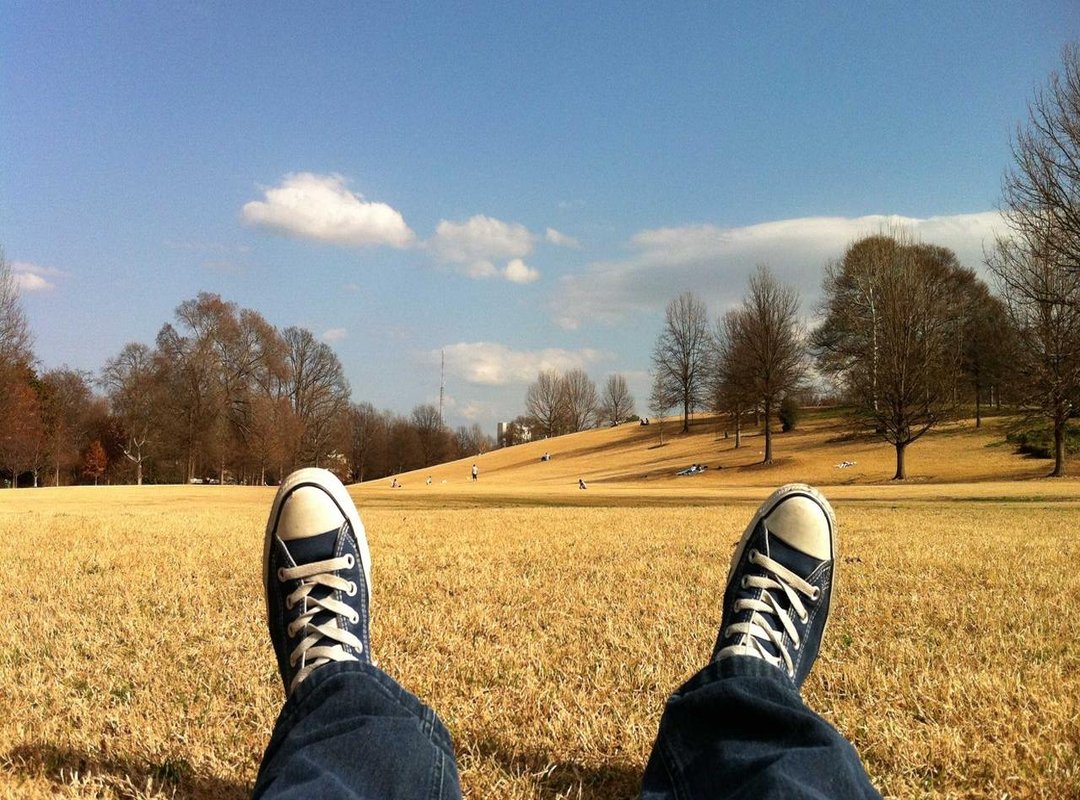 Pro vs. Free: Is the Upgrade Worth Your Money?