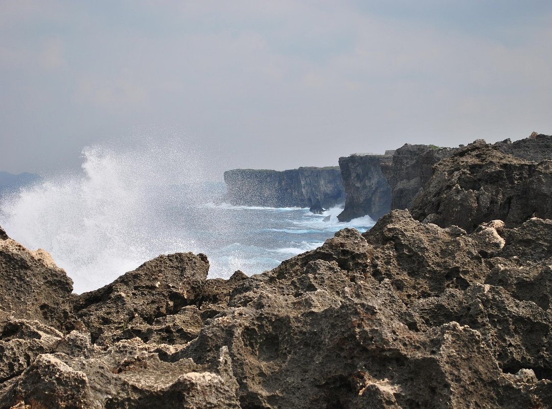 How to Create Your New Venus AI Account